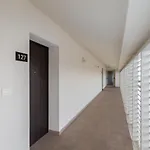 Supreme Apartment Miramare With Sea View